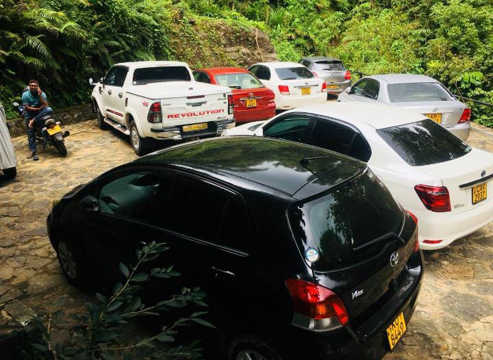 High-roof van at Forest Shade